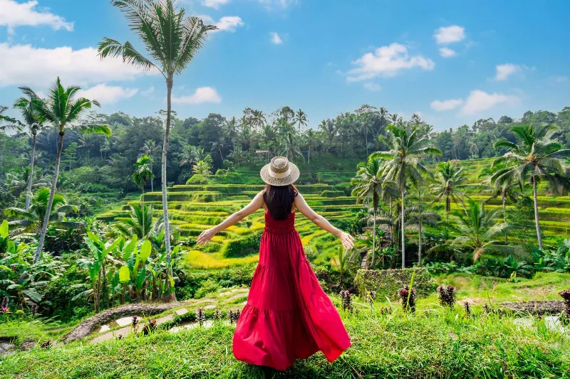 rừng rậm tại Bali