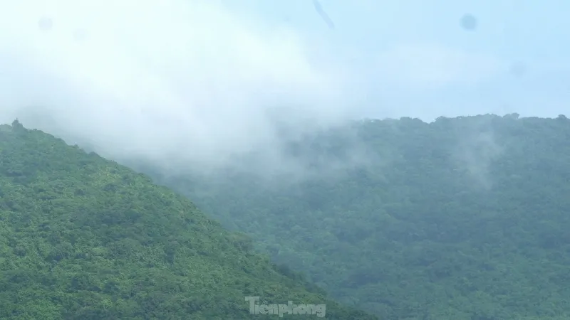 Bãi biển trên bán đảo Sơn Trà