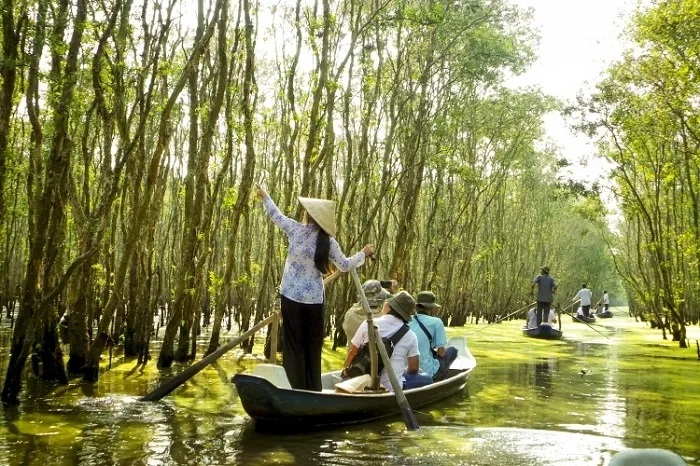 Rừng Tràm Trà Sư