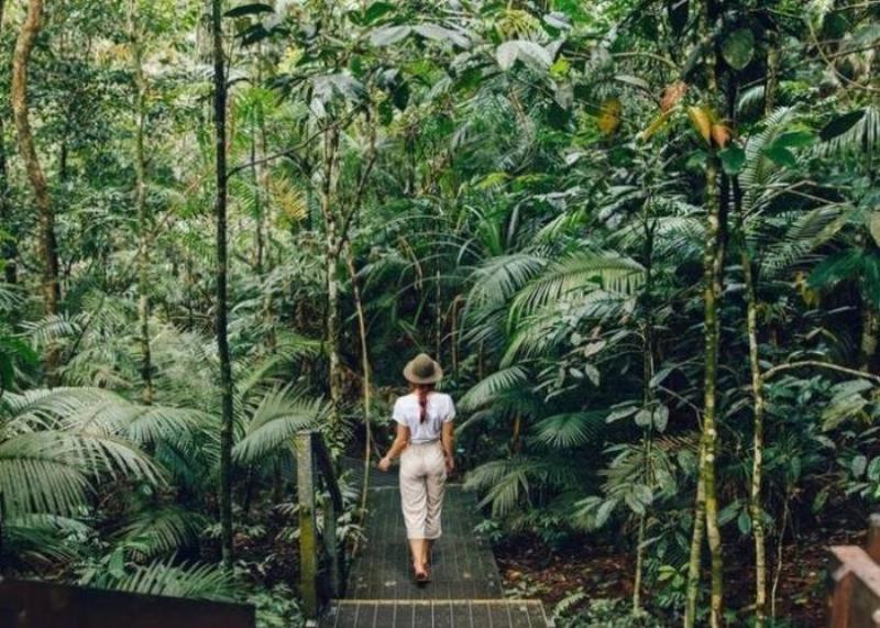 Khu rừng mây Monteverde ở Costa Rica, điểm du lịch sinh thái nổi bật trong các nước mà châu Mỹ gồm