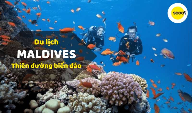 Lặn biển snorkeling là trải nghiệm phải thử khi du lịch Maldives để ngắm nhìn thế giới san hô và cá đầy màu sắc.