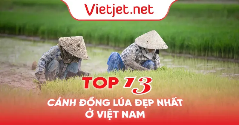 Hình ảnh cận cảnh mặt nước hồ Tà Pạ với sự chuyển đổi màu sắc kỳ ảo, phản chiếu ánh nắng và bầu trời