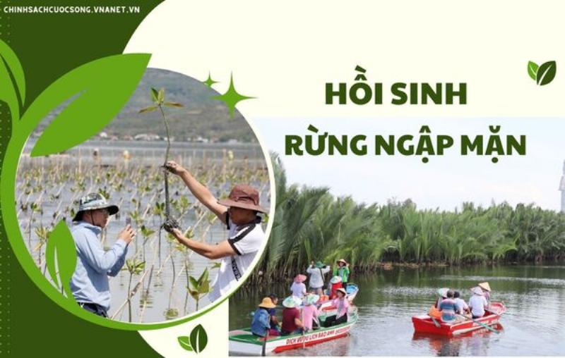 Một nhóm người đang cùng nhau trồng cây xanh trong một dự án phục hồi môi trường tại khu du lịch sinh thái
