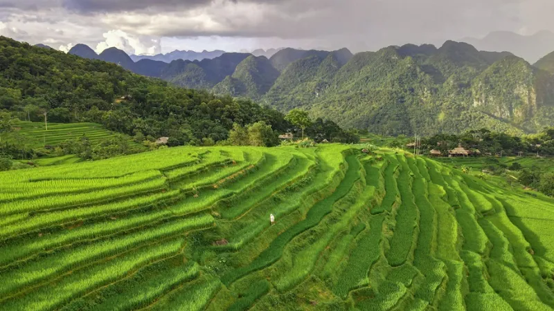 Pù Luông Thanh Hóa