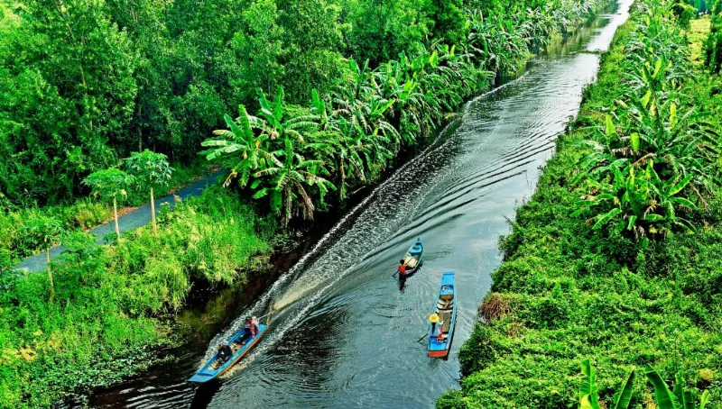 Rừng tràm U Minh Hạ