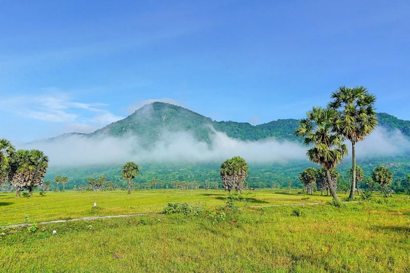 canh-dep-an-giang-ngon-mui-sam-huyen-thoai