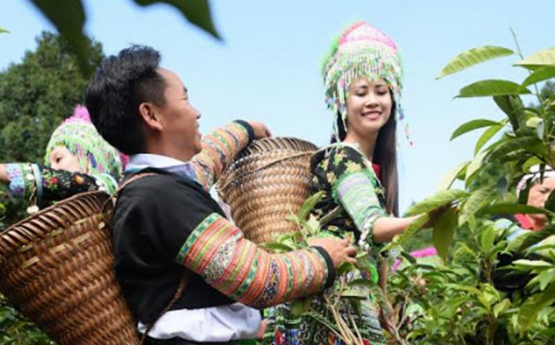 Hình ảnh minh họa cách pha trà hoa xuyến chi đơn giản