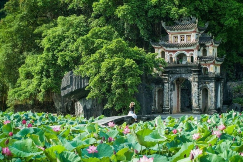 Những người hành hương đang chiêm bái tại một ban thờ trong khu chùa Bái Đính mới, thể hiện nét đẹp văn hóa tâm linh
