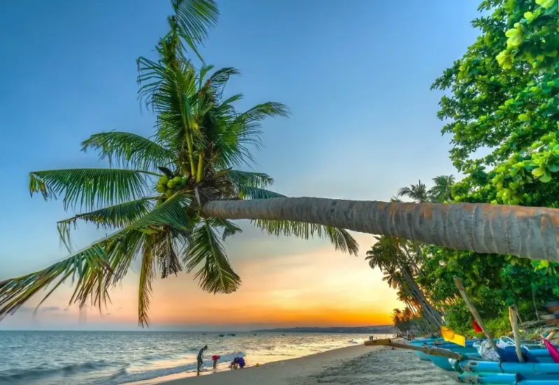 hinh-anh-tour-phan-thiet-mot-ngay-tai-doi-cat-bay