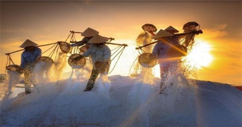 Những cánh đồng muối đang được phơi nắng dưới ánh mặt trời, nơi nước biển bốc hơi để lại những tinh thể muối ban đầu