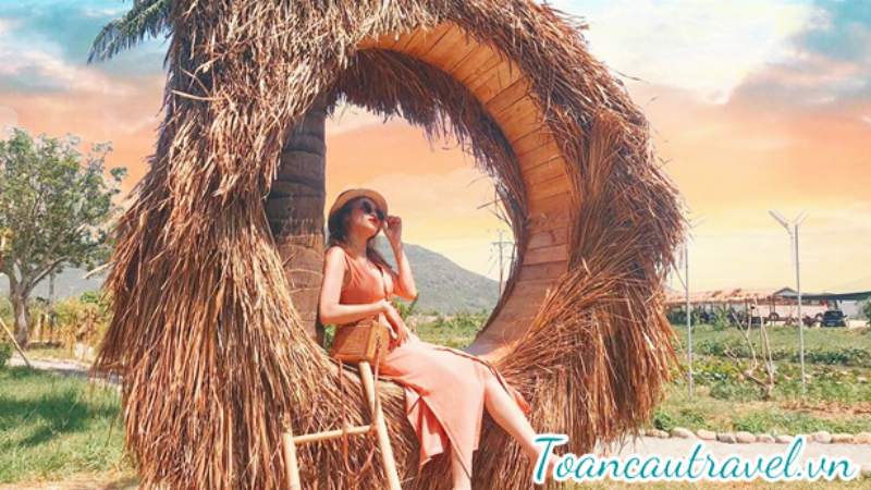 Tour Phan Rang khám phá vẻ đẹp hoang sơ đầy nắng và gió của Ninh Thuận với những trải nghiệm khó quên