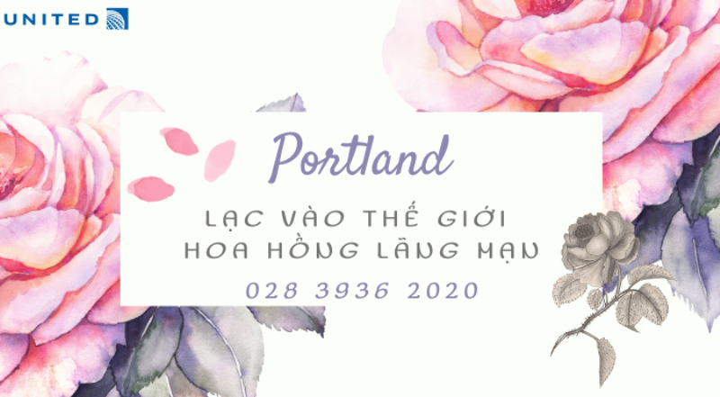 Hoa hồng đỏ rực rỡ, biểu tượng tình yêu nồng cháy, một trong những loài hoa đẹp nhất thế giới.