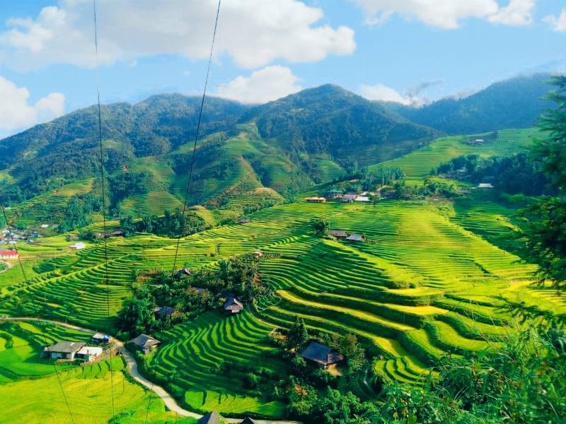 Du khách trekking qua những thửa ruộng bậc thang ở Sa Pa