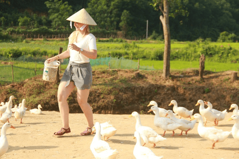 Khám phá vẻ đẹp giản dị của cảnh quan thiên nhiên hoặc cuộc sống địa phương khi đi du lịch
